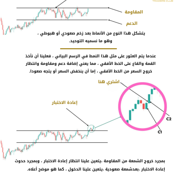 كتاب البرايس اكشن وحركة الأسعار